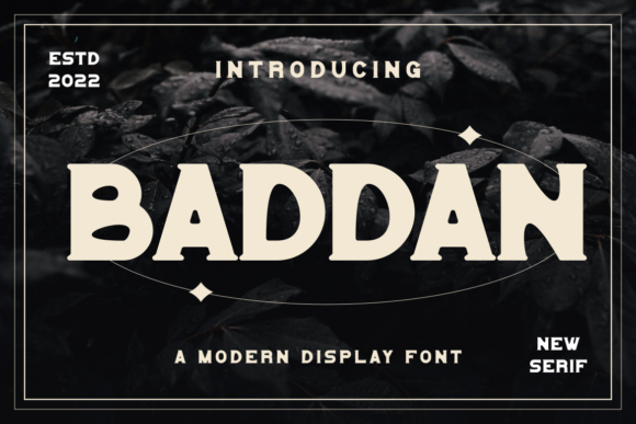 Baddan Font for a Modern Editorial Touch