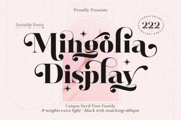 Mingolia Display First Impressions and Practical Use