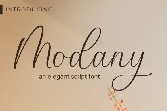 Modany: A Sweet Script Font for Handmade Creations