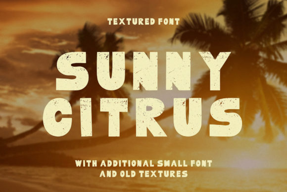Sunny Citrus Font for Bold Campaign Designs