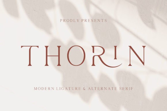 Thorin: A Serif Font That Elevates Campaign Design